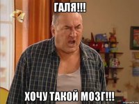 галя!!! хочу такой мозг!!!