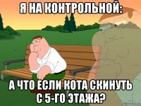 я на контрольной: а что если кота скинуть с 5-го этажа?