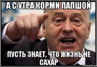 а с утра корми лапшой пусть знает, что жизнь не сахар