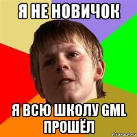 я не новичок я всю школу gml прошёл