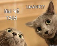 Вы чё там Шалите?