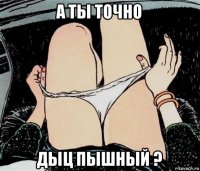 а ты точно дыц пышный ?