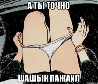 а ты точно шашык пажаил