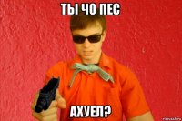 ты чо пес ахуел?