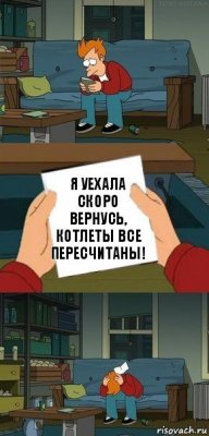 я уехала скоро вернусь, котлеты все пересчитаны!