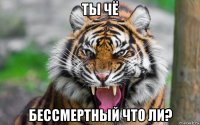 ты чё бессмертный что ли?