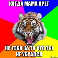 когда мама орет на тебя за то что ты не убрался