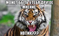 может быть у тебя другое мнение, котик???