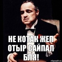 Не котак жеп отыр сайпал бля!