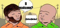 В майами? Дельфины!