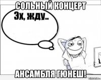 сольный концерт ансамбля гюнеш!