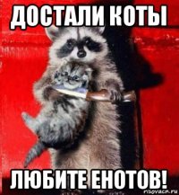 достали коты любите енотов!