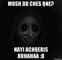 mosh du ches qne? nayi achqeris buhahaa :d