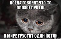 когда говорят что-то плохое про lol в мире грустит один котик