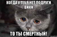 когда у тебя нет подруги вики то ты смертный!