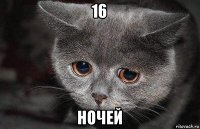 16 ночей