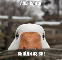 АЛЕКСАНДР ВЫЙДИ ИЗ ВК!