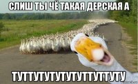 слиш ты чё такая дерская а туттутутутутуттуттуту