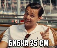  бибка 25 см