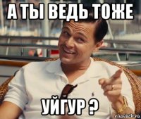 а ты ведь тоже уйгур ?