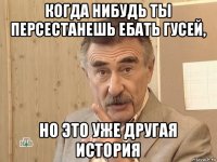 когда нибудь ты персестанешь ебать гусей, но это уже другая история