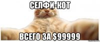 селфи-кот всего за $99999