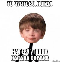 то чучтсво, когда на геру уткина насала собака