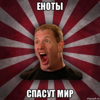 еноты спасут мир