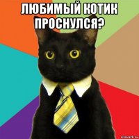 любимый котик проснулся? 