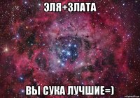 эля+злата вы сука лучшие=)