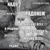 надо надо слушать РАДОНЕЖ радио я грешник головой об стену я хуже всех Надо молиться все грех я хуже всех