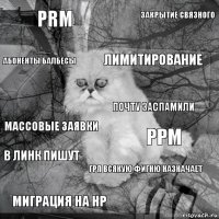 PRM PPM Лимитирование Миграция на HP массовые заявки закрытие связного ГРП всякую фигню назначает абоненты балбесы В линк пишут почту заспамили