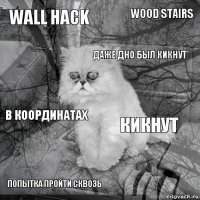 Wall Hack Кикнут Даже Дно был кикнут Попытка пройти сквозь В координатах Wood Stairs    