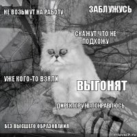 не возьмут на работу выгонят скажут,что не подхожу без высшего образования уже кого-то взяли заблужусь директору не понравлюсь   