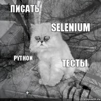 писать тесты selenium + python     