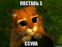 поставь 5 ссука