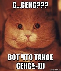 с...секс??? вот что такое секс!:-)))