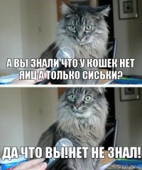 а вы знали что у кошек нет яиц а только сиськи? да что вы!Нет не знал!