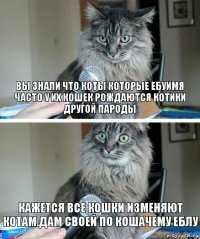 Вы знали что коты которые ебуимя часто у их кошек рождаются котики другой пароды Кажется все кошки изменяют Котам.дам своей по кошачему еблу