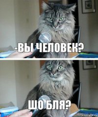 -вы человек? Шо бля?