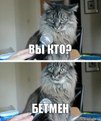 Вы кто? БЕТМЕН