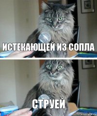 истекающей из сопла СТРУЕЙ