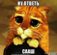 ну ответь сааш