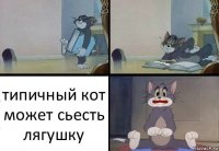 типичный кот может сьесть лягушку