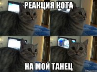 реакция кота на мой танец