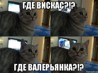 где вискас?!? где валерьянка?!?