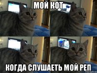 мой кот когда слушаеть мой реп