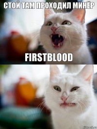 Стой там проходил минёр Firstblood