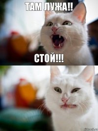 Там лужа!! Стой!!!