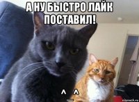 а ну быстро лайк поставил! ^_^